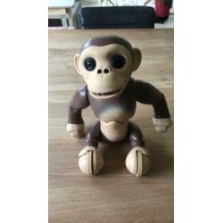 Zoomer Chimp