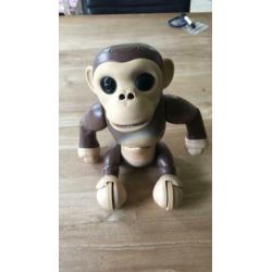 Zoomer Chimp