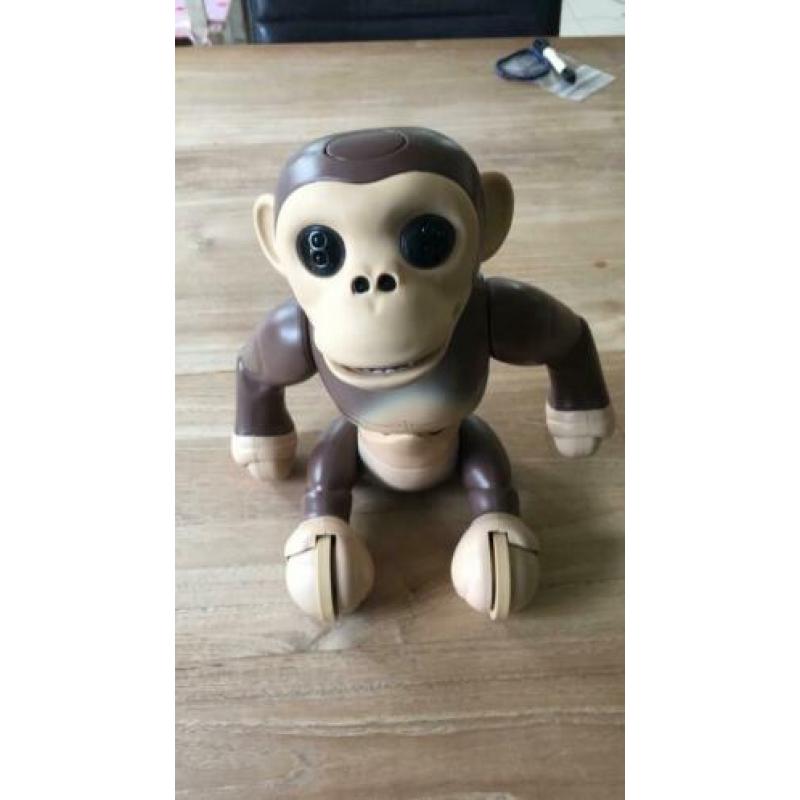 Zoomer Chimp