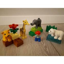 6 complete sets duplo