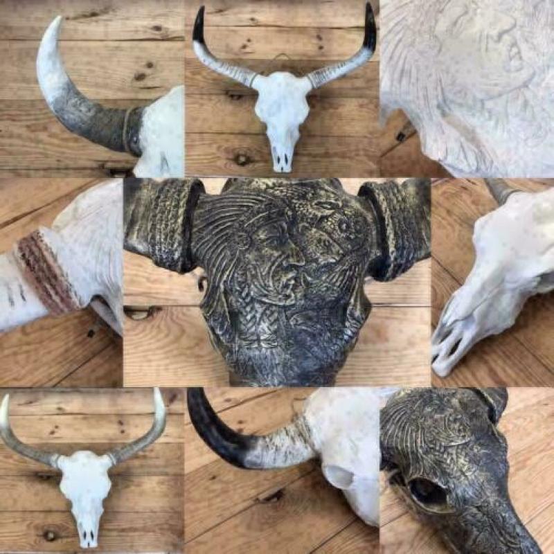 Buffelschedels , Skulls , Longhorn , hoorns , bison schedels