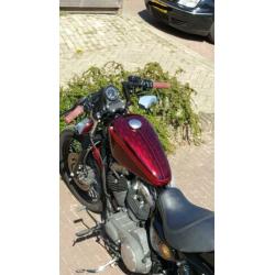 Harley Davidson sportster xl1200n nightster specialpaint